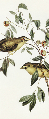 Fabric roller blind Birds on a tree