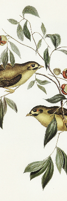 Fabric roller blind Birds on a tree