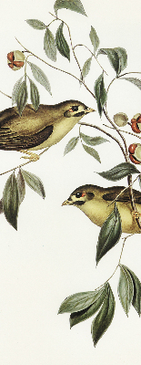 Fabric roller blind Birds on a tree