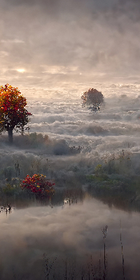Roller blind for large window Trees in the fog