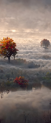 Roller blind for large window Trees in the fog