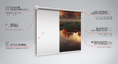 Fabric roller blind Sunset behind the trees