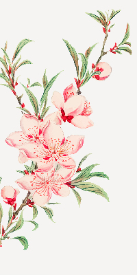 Modern roller blind Pink flower