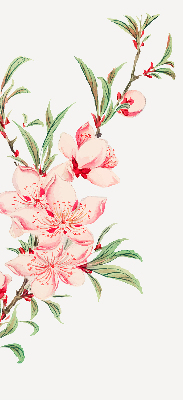 Modern roller blind Pink flower