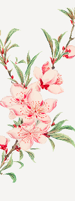 Modern roller blind Pink flower