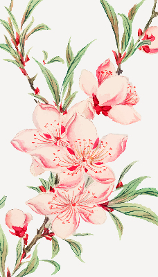 Modern roller blind Pink flower