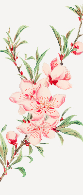 Modern roller blind Pink flower