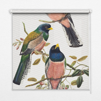 Roller blind for large window Birds on the branches