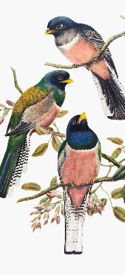 Roller blind for large window Birds on the branches