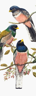 Roller blind for large window Birds on the branches