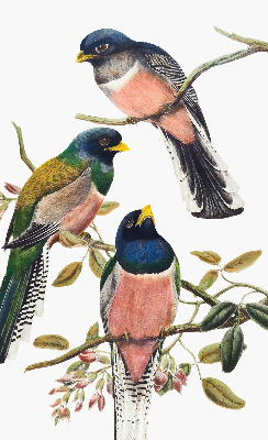Roller blind for large window Birds on the branches