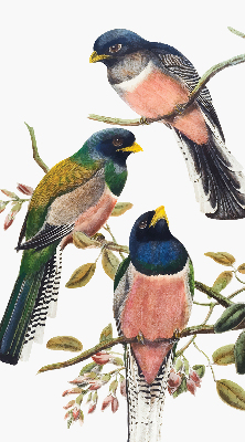 Roller blind for large window Birds on the branches