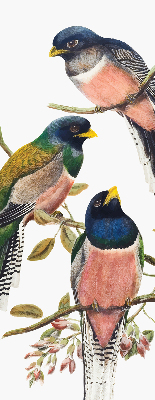 Roller blind for large window Birds on the branches