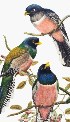 Roller blind for large window Birds on the branches