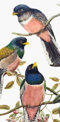 Roller blind for large window Birds on the branches