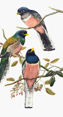 Roller blind for large window Birds on the branches
