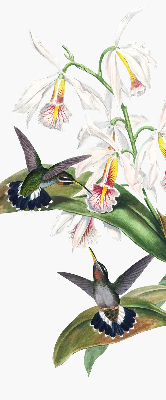 Fabric roller blind Birds on a flower