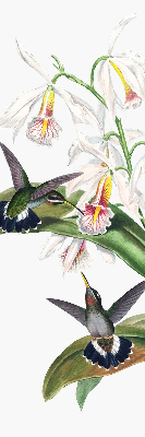 Fabric roller blind Birds on a flower