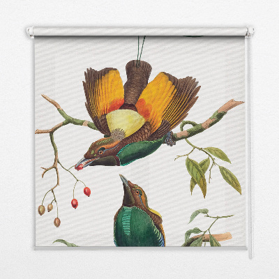 Modern roller blind Birds on a branch