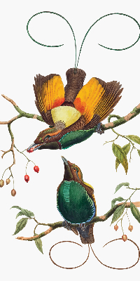 Modern roller blind Birds on a branch