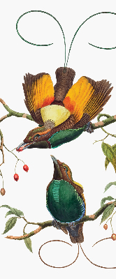 Modern roller blind Birds on a branch