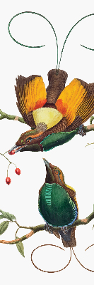 Modern roller blind Birds on a branch