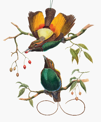 Modern roller blind Birds on a branch