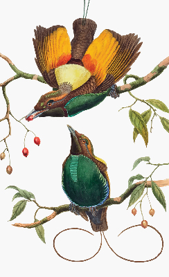 Modern roller blind Birds on a branch