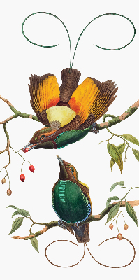 Modern roller blind Birds on a branch
