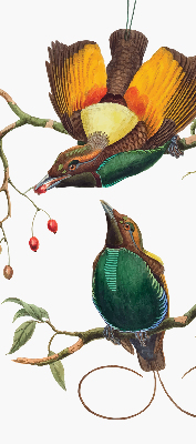 Modern roller blind Birds on a branch