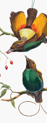 Modern roller blind Birds on a branch