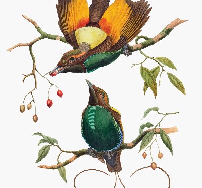 Modern roller blind Birds on a branch