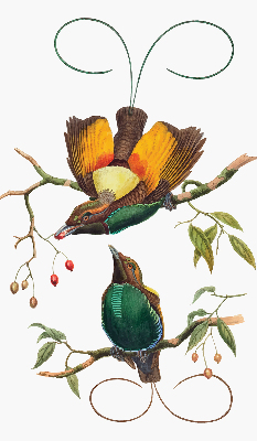 Modern roller blind Birds on a branch