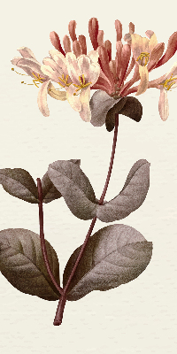 Roller blind for large window Falling flower