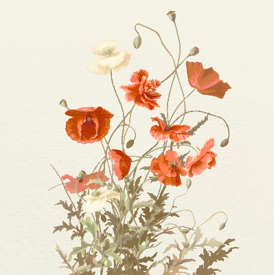 Fabric roller blind Poppies