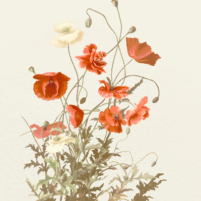 Fabric roller blind Poppies