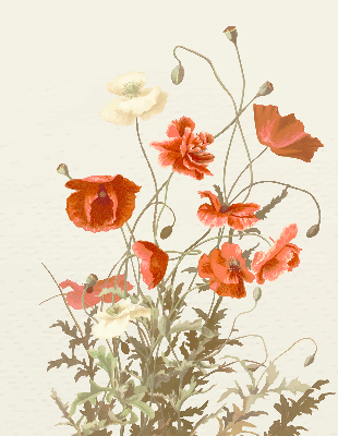 Fabric roller blind Poppies