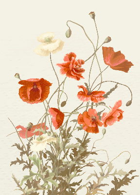Fabric roller blind Poppies