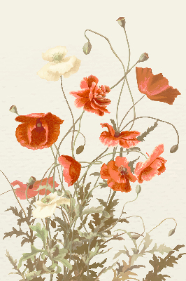 Fabric roller blind Poppies