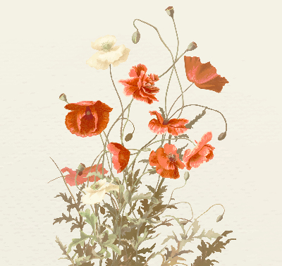 Fabric roller blind Poppies