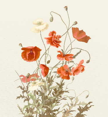 Fabric roller blind Poppies