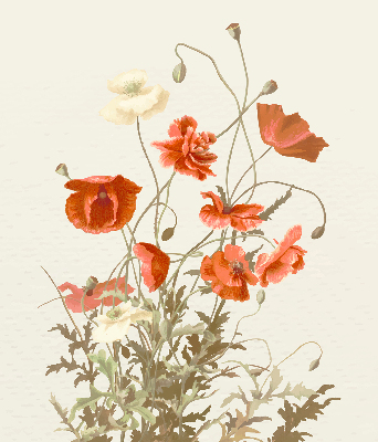 Fabric roller blind Poppies