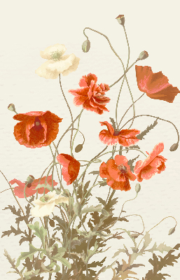 Fabric roller blind Poppies