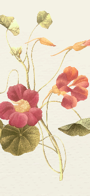 Modern roller blind Flower