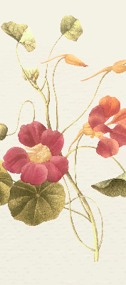 Modern roller blind Flower