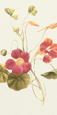 Modern roller blind Flower
