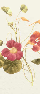 Modern roller blind Flower