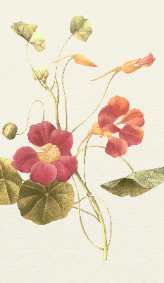Modern roller blind Flower