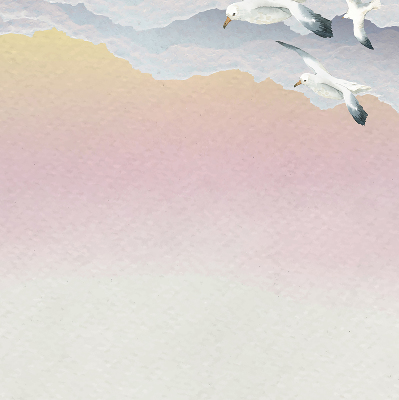 Fabric roller blind Flying birds