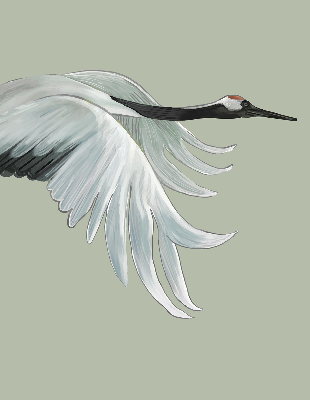Modern roller blind Crane in flight